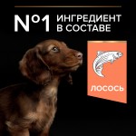 Купить Purina Pro Plan OPTIDERMA для щенков мелких пород с чувствительной кожей, лосось рис, 700 г Pro Plan в Калиниграде с доставкой (фото 12)