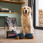 Купить Сухой корм для собак Pro-Nutrition Flatazor Prestige Dog Adult LIGHT &/OR STERILIZED, 3 кг Flatazor в Калиниграде с доставкой (фото 5)