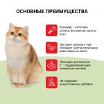 Купить Лакомство-пюре для кошек Inaba Ciao Churu с куриным филе и кальмаром, 56 гр CIAO в Калиниграде с доставкой (фото 8)