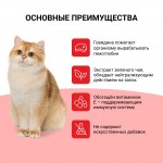Купить Лакомство-пюре для кошек Inaba Ciao Churu куриное филе и говядина, 56 гр CIAO в Калиниграде с доставкой (фото 10)