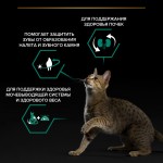 Купить Purina Pro Plan OPTIRENAL Sterilised для стерилизованных кошек, лосось, 1.5 кг Pro Plan в Калиниграде с доставкой (фото 10)