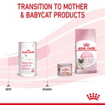 Купить Royal Canin Babycat Milk Заменитель молока для котят с рождения до 2 месяцев, 300 гр Royal Canin в Калиниграде с доставкой (фото 3)