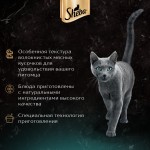 Купить Консервы для кошек Sheba Craft Collection Рубленые кусочки. Говядина в соусе, 75 г Sheba в Калиниграде с доставкой (фото 5)
