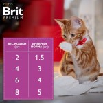 Купить Консервы Brit Premium индейка с сыром в желе для взрослых стерилизованных кошек, 85 г Brit в Калиниграде с доставкой (фото 6)
