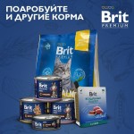 Купить Консервы Brit Premium форель в желе для взрослых кошек, 85 г Brit в Калиниграде с доставкой (фото 8)