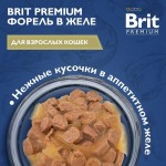 Купить Консервы Brit Premium форель в желе для взрослых кошек, 85 г Brit в Калиниграде с доставкой (фото 1)