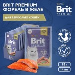 Купить Консервы Brit Premium форель в желе для взрослых кошек, 85 г Brit в Калиниграде с доставкой (фото 12)