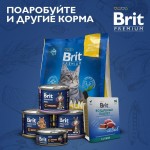 Купить Консервы Brit Premium цыпленок в желе для взрослых кошек, 85 г Brit в Калиниграде с доставкой (фото 10)