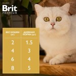 Купить Консервы Brit Premium для взрослых кошек тунец в желе, 85 г Brit в Калиниграде с доставкой (фото 4)