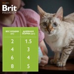 Купить Консервы Brit Premium для взрослых кошек ягненок в желе, 85 г Brit в Калиниграде с доставкой (фото 3)