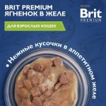 Купить Консервы Brit Premium для взрослых кошек ягненок в желе, 85 г Brit в Калиниграде с доставкой (фото 1)