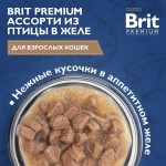 Купить Консервы Brit Premium ассорти из птицы в желе для взрослых кошек, 85 г Brit в Калиниграде с доставкой (фото 1)