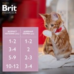 Купить Консервы Brit Premium белая рыба в соусе для котят, 85 г Brit в Калиниграде с доставкой (фото 4)