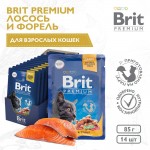 Купить Консервы Brit Premium лосось и форель в соусе для взрослых кошек, 85 г Brit в Калиниграде с доставкой (фото)