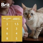 Купить Консервы Brit Premium лосось и форель в соусе для взрослых кошек, 85 г Brit в Калиниграде с доставкой (фото 8)