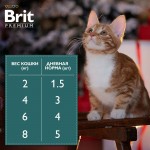 Купить Консервы Brit Premium утка в соусе для взрослых кошек, 85 г Brit в Калиниграде с доставкой (фото 10)
