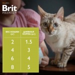 Купить Консервы Brit Premium ягненок и говядина в соусе для взрослых стерилизованных кошек, 85 г Brit в Калиниграде с доставкой (фото 9)