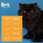 Купить Brit Premium Cat Indoor с курицей для кошек домашнего содержания, 800 гр Brit в Калиниграде с доставкой (фото 7)