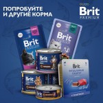 Купить Brit Premium Light с курицей для кошек с избыточным весом, 800 гр Brit в Калиниграде с доставкой (фото 12)
