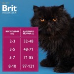 Купить Brit Premium Light с курицей для кошек с избыточным весом, 800 гр Brit в Калиниграде с доставкой (фото 5)