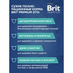 Купить Brit Premium Cat Sensitive с индейкой и ягненком для кошек с чувствительным пищеварением, 2 кг Brit в Калиниграде с доставкой (фото 2)
