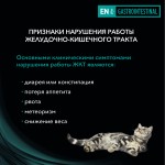 Купить Purina Pro Plan Veterinary Diets EN для кошек при расстройствах пищеварения, с лососем, 85 г Pro Plan Veterinary Diets в Калиниграде с доставкой (фото 6)