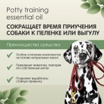 Купить Tamachi Спрей для приучения к туалету для собак, 200 мл Tamachi в Калиниграде с доставкой (фото 1)