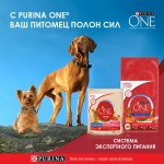 Купить Сухой корм Purina ONE для взрослых собак средних и крупных пород, с говядиной и рисом, 10 кг PURINA ONE в Калиниграде с доставкой (фото 7)
