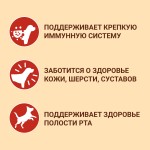 Купить Сухой корм Purina ONE для взрослых собак средних и крупных пород, с говядиной и рисом, 10 кг PURINA ONE в Калиниграде с доставкой (фото 4)