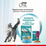 Купить Purina One для взрослых кошек с курицей и цельным злаками, 9.75 кг PURINA ONE в Калиниграде с доставкой (фото 13)