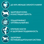 Купить Purina One для взрослых кошек с курицей и цельным злаками, 9.75 кг PURINA ONE в Калиниграде с доставкой (фото 3)
