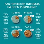 Купить Purina ONE для стерилизованных кошек и котов с лососем и пшеницей, 9.75 кг PURINA ONE в Калиниграде с доставкой (фото 13)