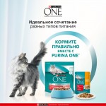 Купить Purina ONE для стерилизованных кошек и котов с лососем и пшеницей, 9.75 кг PURINA ONE в Калиниграде с доставкой (фото 7)