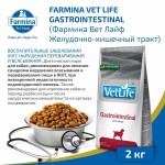 Купить Farmina Vet Life диета для собак при проблемах с ЖКТ и при экзокринной недостаточности 2 кг Farmina Vet Life в Калиниграде с доставкой (фото 3)
