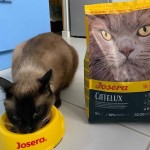 Купить JOSERA Catelux корм для разборчивых и длинношерстных кошек выведение комков шерсти из ЖКТ 10 кг Josera в Калиниграде с доставкой (фото 7)