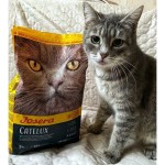 Купить JOSERA Catelux корм для разборчивых и длинношерстных кошек выведение комков шерсти из ЖКТ 10 кг Josera в Калиниграде с доставкой (фото 6)