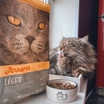 Купить JOSERA Léger для стерилизованных и малоактивных кошек склонных к набору веса 10 кг Josera в Калиниграде с доставкой (фото 3)