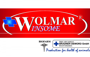 Wolmar Winsome