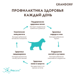 Купить Grandorf для щенков, беременных и кормящих собак всех пород с ягненком и рисом 10 кг Grandorf в Калиниграде с доставкой (фото 11)
