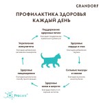 Купить Grandorf низкозерновой корм для котят, беременных или кормящих кошек, ягненок с индейкой, 2 кг Grandorf в Калиниграде с доставкой (фото 9)