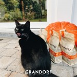 Купить Grandorf низкозерновой корм для взрослых и пожилых стерилизованных кошек с чувствительным ЖКТ или склонных к аллергии, индейка, 2 кг Grandorf в Калиниграде с доставкой (фото 10)