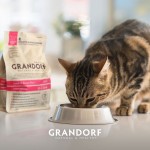 Купить Grandorf низкозерновой корм для взрослых домашних кошек, с чувствительным ЖКТ или склонных к аллергии, ягненок с индейкой, 400 гр Grandorf в Калиниграде с доставкой (фото 3)