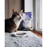 Купить Premil Fancy для привередливых кошек, профилактика МКБ с мясом индейки 400 гр Premil в Калиниграде с доставкой (фото 7)