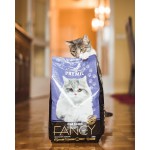 Купить Premil Fancy для привередливых кошек, профилактика МКБ с мясом индейки 400 гр Premil в Калиниграде с доставкой (фото 16)