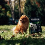 Купить Корм на развес Premil Mini для щенков и молодых собак малых и средних пород с уткой и индейкой, 500 гр Premil в Калиниграде с доставкой (фото 5)