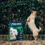 Купить Корм на развес Premil Mini для щенков и молодых собак малых и средних пород с уткой и индейкой, 500 гр Premil в Калиниграде с доставкой (фото 9)