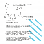 Купить Сухой низкозерновой корм для взрослых активных кошек AJO BASIC LINE ACTIVE с индейкой, 400 г AJO в Калиниграде с доставкой (фото 3)