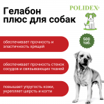 Купить POLIDEX® Gelabon plus 500 Tab (Полидэкс Гелабон плюс) Polidex в Калиниграде с доставкой (фото 1)