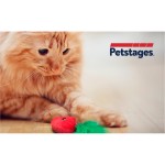 Купить Игрушка Petstages для кошек Клубнички, 3 шт в комплекте Petstages в Калиниграде с доставкой (фото 1)