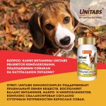 Купить Unitabs Иммуно Комплекс с Q10 для мелких собак 100 таблеток Unitabs в Калиниграде с доставкой (фото 10)